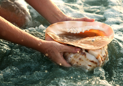 在水背景的大海螺壳与火花背景图片