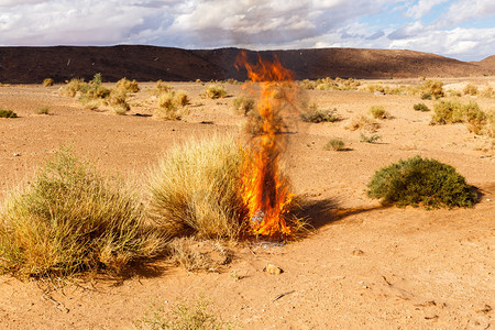 摩洛哥撒哈拉沙漠中燃图片