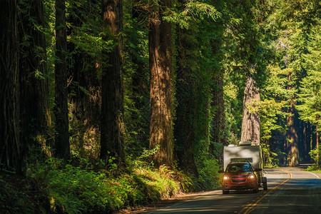 美国北加利福尼亚州红木高速公路上小型SUV与契约旅行轨迹搭配图片