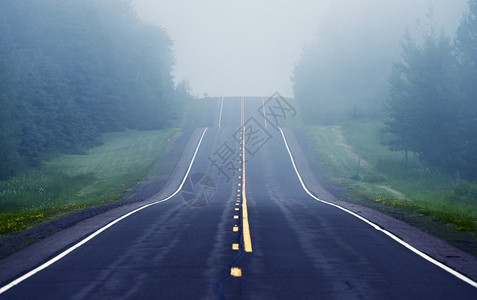 路面前方透视前方有雾路穿过明尼苏达荒野的路背景