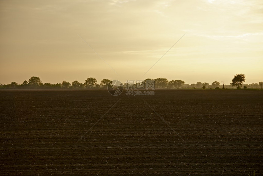 伊利诺伊农田美国中西部农业照片集美图片