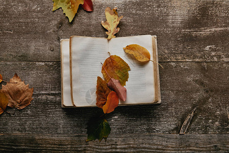 平板躺着落秋叶和木头表面图片