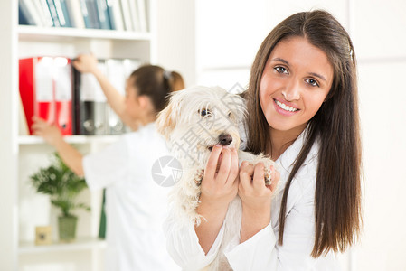 年轻的女兽医带着一只可爱漂亮的狗图片