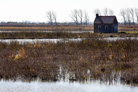 荷兰Haringvliet河口的淡水潮汐地区Tiengemeten的大部分农场和房屋被弃置并归还自然背景图片
