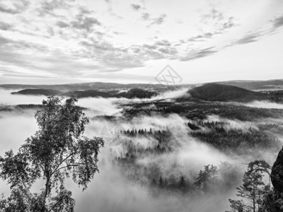 大雨过后的雾蒙的早晨查看充满新鲜春雾的长的深谷雨夜后天亮内的秋季景图片