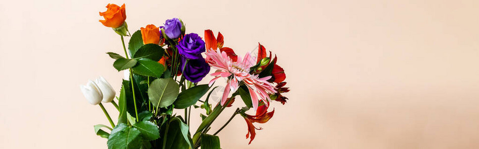 米色背景上五颜六色的鲜花束背景图片