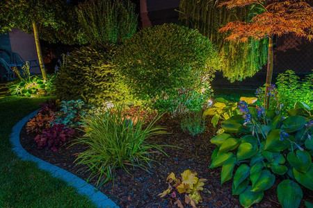 优雅的后院花园灯光照明图片