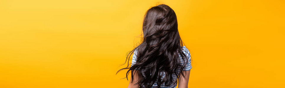 后面的风景从黑发中吹出女人的棕发卷子被孤立在黄色图片