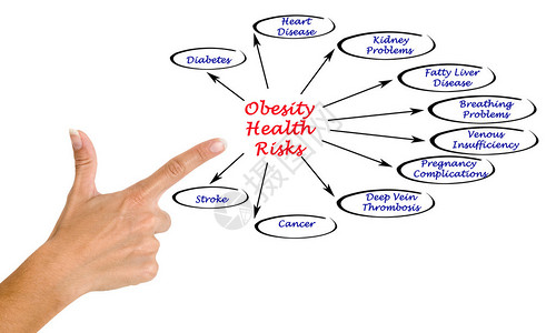 肥胖健康风险图片