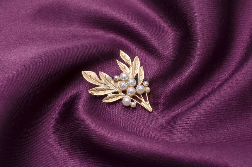 丝绸上饰有珍珠的金色胸针树枝图片