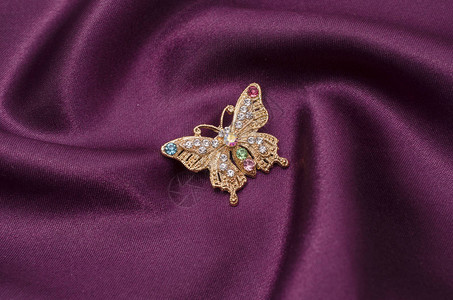 丝绸织物上镶有钻石的金蝴蝶胸针图片