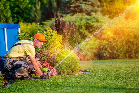 花园浇水系统花园技术员在住宅花园图片