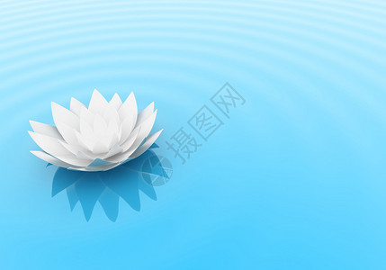 百合花在一边一朵百合花在水上的插图设计图片