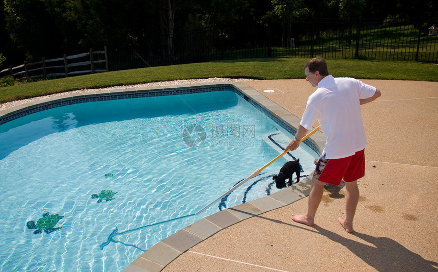 中年男子在水中刷游泳池一只狗在水中图片