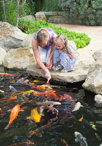 女人和女儿在池塘里喂鱼图片