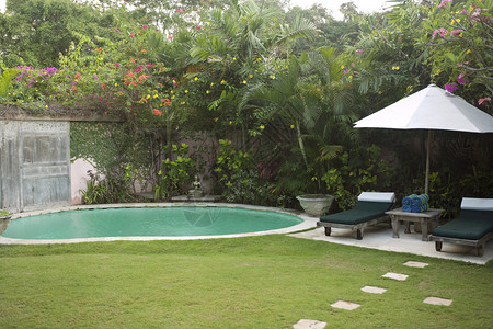 热带花园和游泳池的景色图片