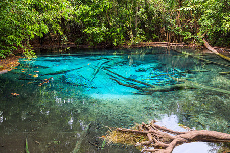 泰国Krabi省丛林蓝泳湖图片