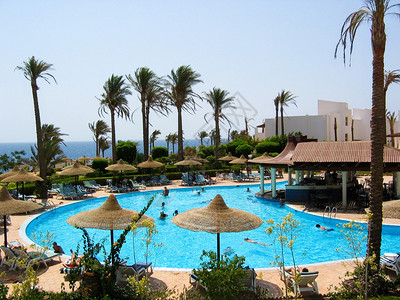 夏季酒店附近游客的游泳池美丽风景相照片图片