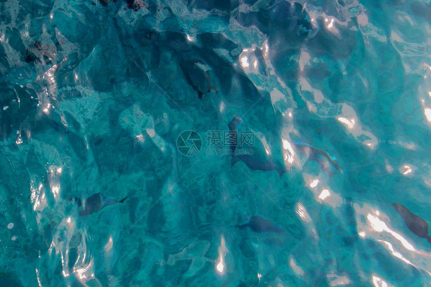 透明的海水和表面太阳耀斑的透明海水摘要和自然背景图片