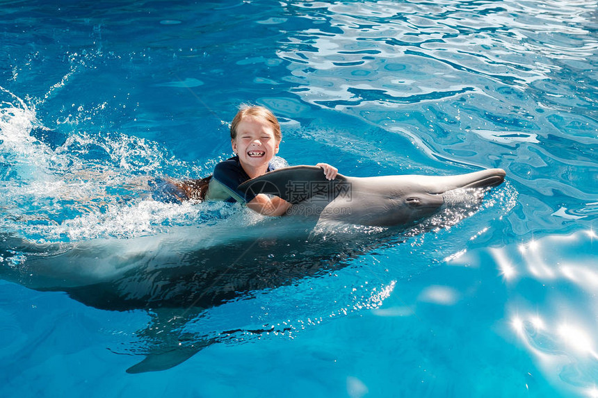 在蓝水中与瓶鼻海豚一起游泳的少女图片