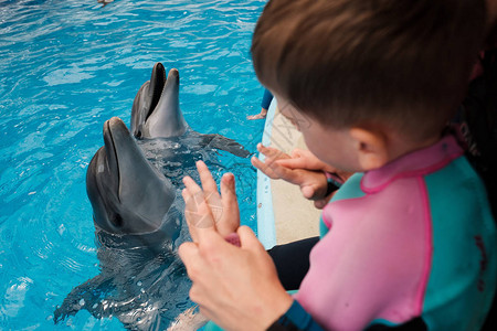 孩子在蓝色的水中与宽吻海豚玩耍海豚辅助疗法图片