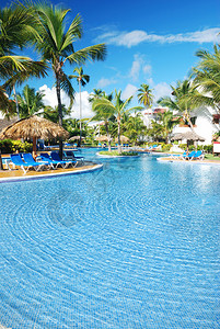热带酒店的游泳池图片