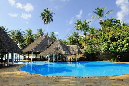 带游泳池和棕榈树的豪华酒店图片