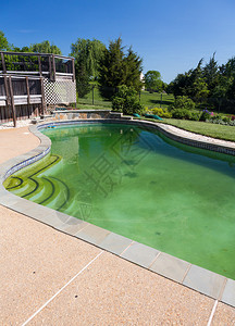 在泳池开口的现代单身家庭后面的后院游泳池图片
