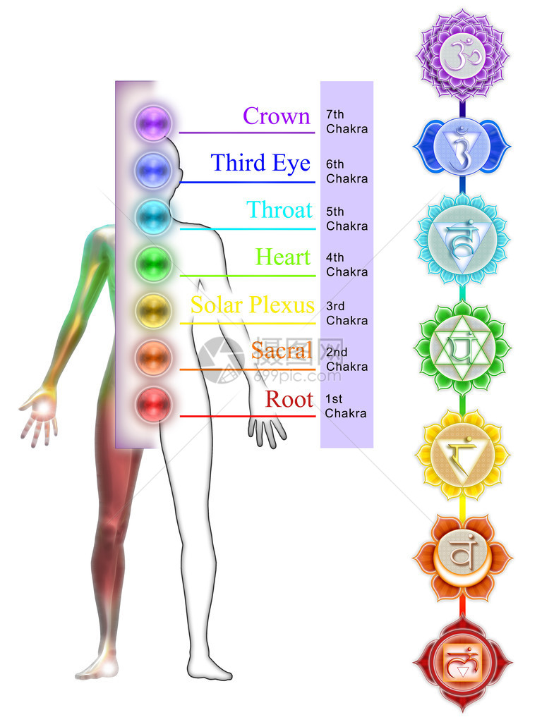 七个主要脉轮的插图图片