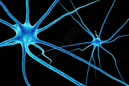脑细胞的神经元3D渲染图片