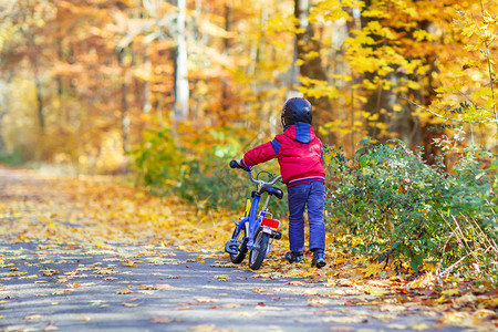 四年的小孩男在秋天的森林里骑着自行车活跃的孩子戴着自行车头盔休闲图片