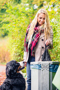 女人在捡狗便在秋天把图片