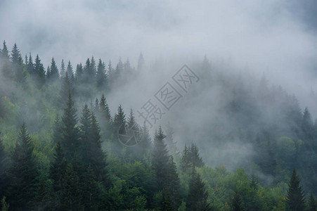 格鲁吉亚斯瓦涅蒂的雾中有山坡风背景图片