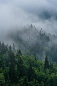格鲁吉亚斯瓦涅蒂的雾中有山坡风背景图片