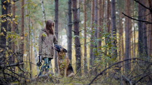 年轻漂亮的女模特儿和她的宠物玩耍德国牧羊人在秋天的森林中行走女孩把狗图片