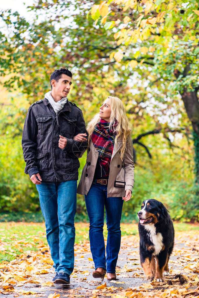 女人和男人有狗的秋天在一条充满叶子图片