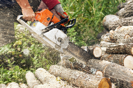 伐木工人用电锯切树干图片