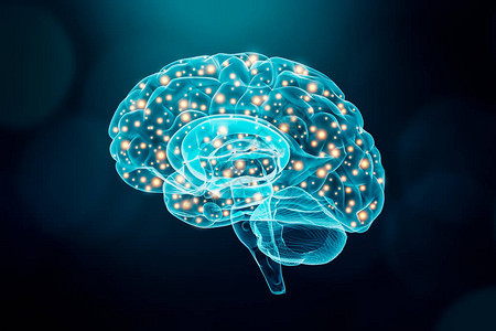 人脑大脑或神经元活动概念科学认知心理学记忆图片