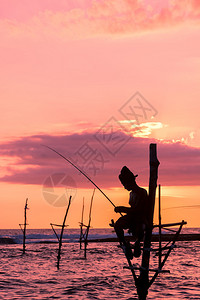 斯里兰卡传统渔夫在棍子上背景图片
