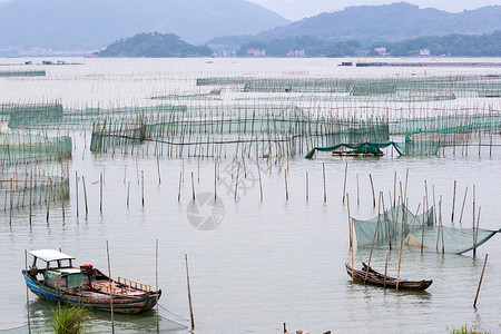 海中大型螃蟹养殖场的网水产养殖是霞浦县东部沿海城镇图片