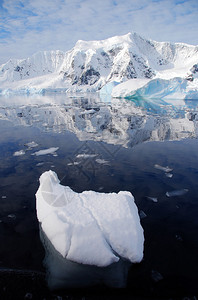 南极海洋中的冰山图片