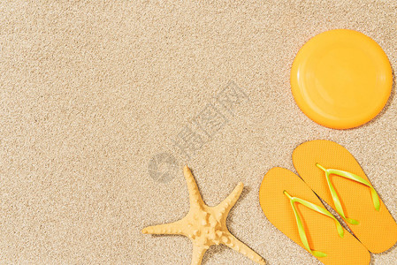 海星黄翻滚和沙上飞背景图片