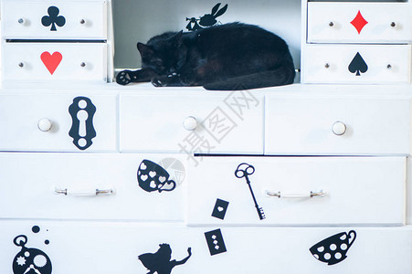 埃文郡美妙的黑猫睡眠爱丽丝在奇设计图片