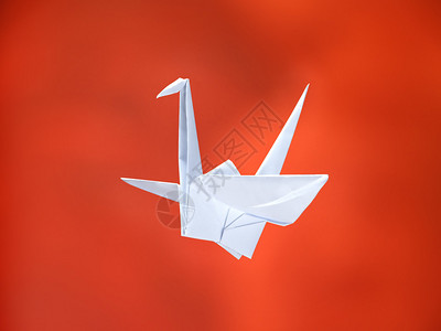 在红色背景的传统日本白色折纸鹤图片