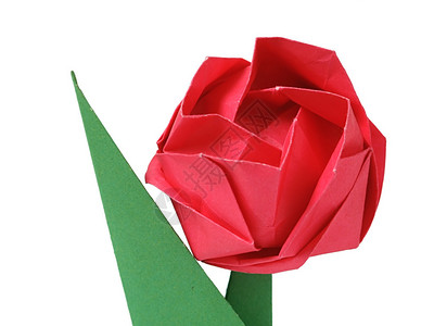 折纸玫瑰在白色背景图片