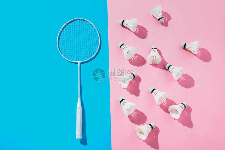 蓝色羽毛球拍和粉色羽毛球的俯视图图片