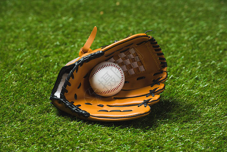 专业棒球手套和绿色草地背景图片