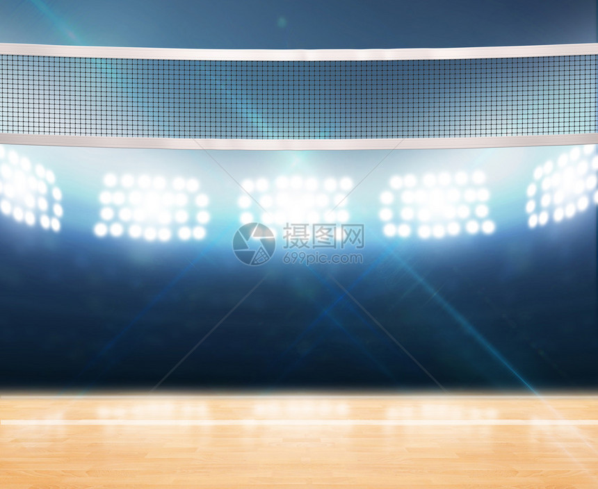 室内排球法院的A3D投影图片