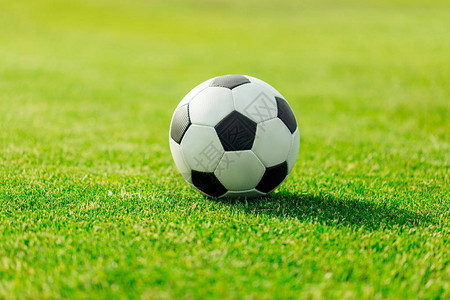 绿色草地上皮革足球的特写镜头背景图片