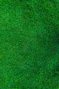 绿色自然绿色草地足球场图片